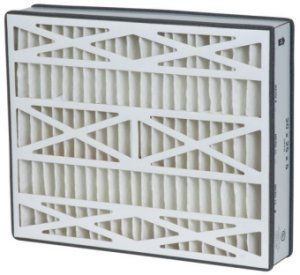 Air Bear 20x25x5