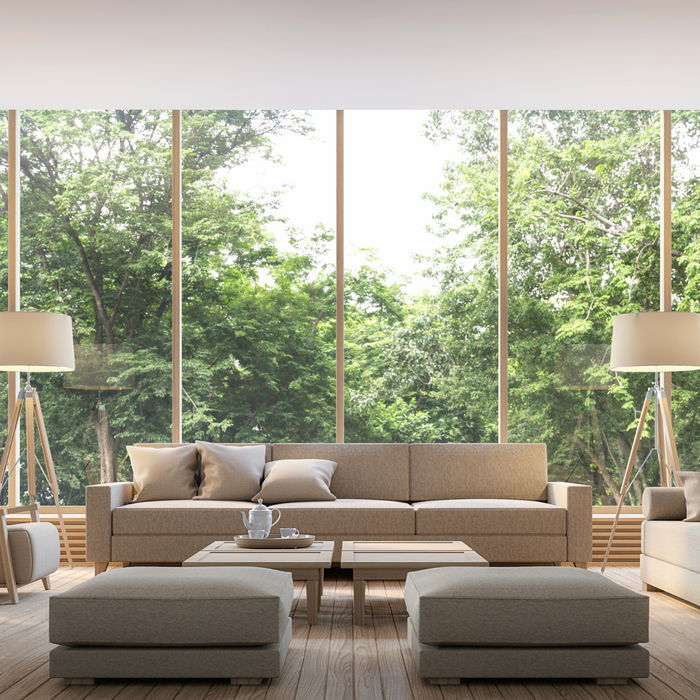 Why Natural Light is so Important for a Healthy Home