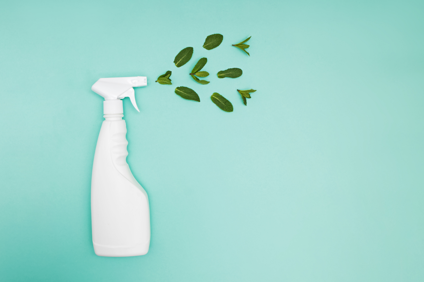 Green Housekeeping: How to Keep Your Home Clean Without Compromising Air Quality