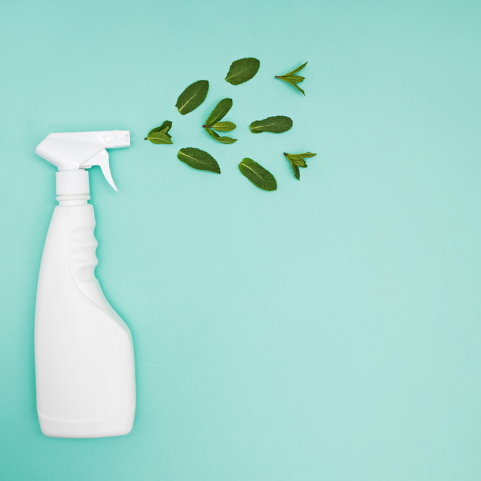 Green Housekeeping: How to Keep Your Home Clean Without Compromising Air Quality
