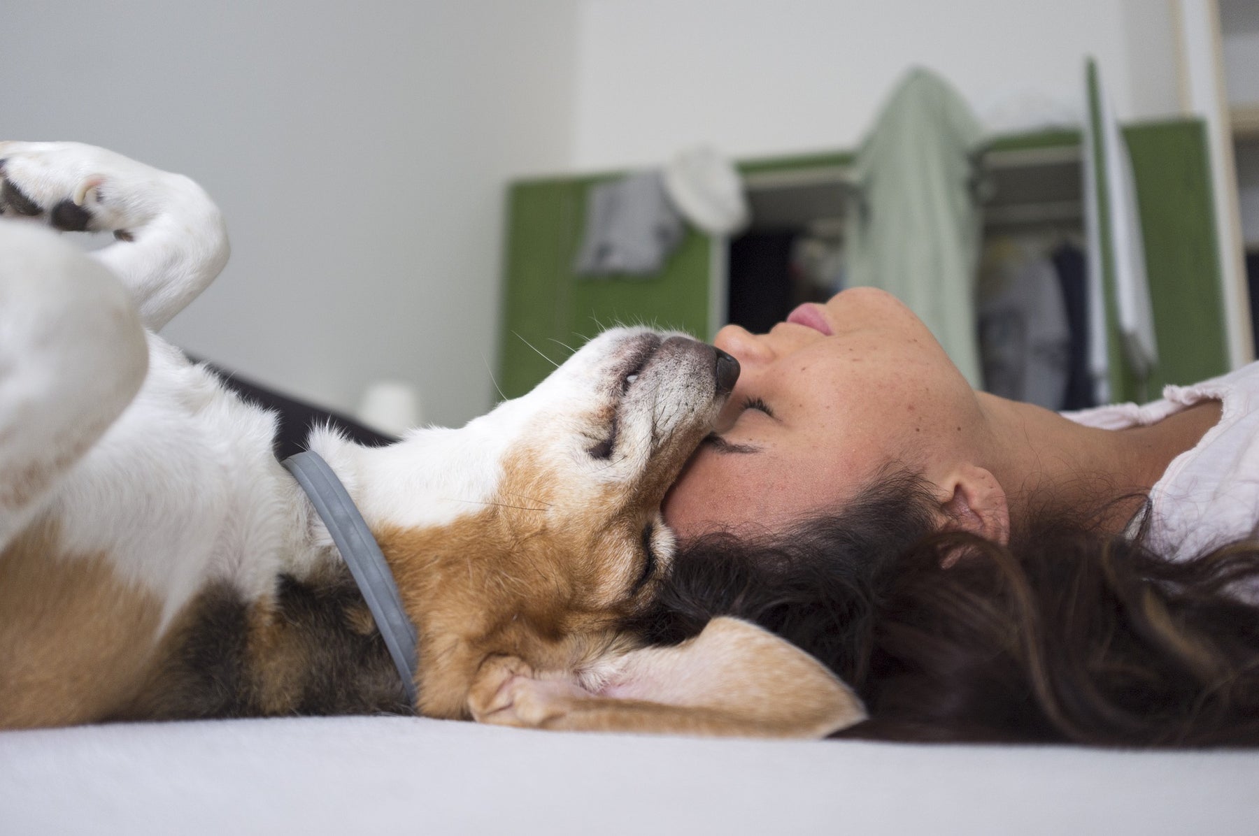 Navigating Pet Allergies: A Guide for Loving Owners