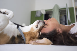 Navigating Pet Allergies: A Guide for Loving Owners