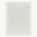 Aftermarket Replacement Polarized Filter Pads (White)