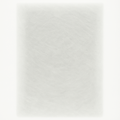 Solid light gray color swatch