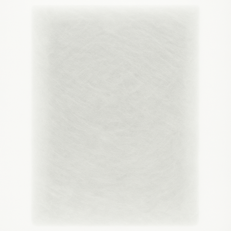 Aftermarket Replacement Polarized Filter Pads (White)