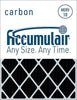 Accumulair Carbon Odor Block Filter (1 Inch)-10x10x1 (9.5 x 9.5)